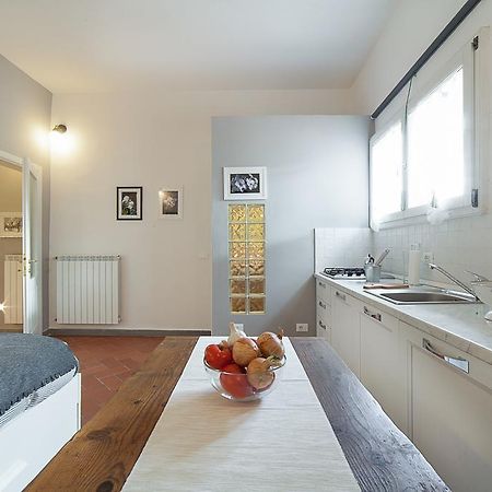 Central Pitti Studio Flat Florencia Exterior foto